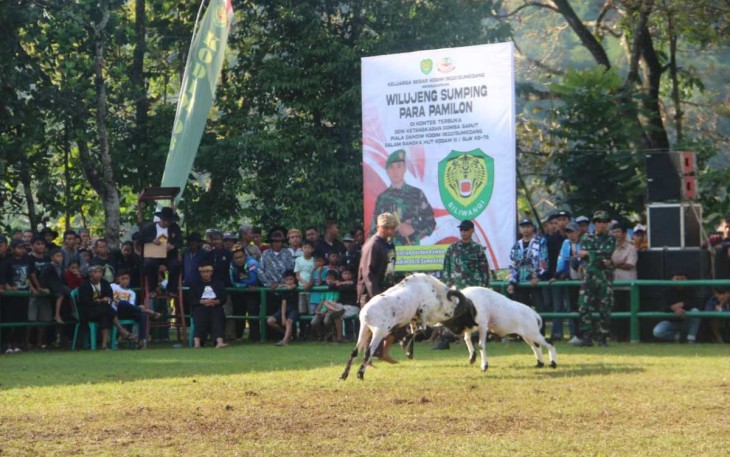 Seni Ketangkasan Domba Garut Piala Dandim&nbsp;0610/Sumedang